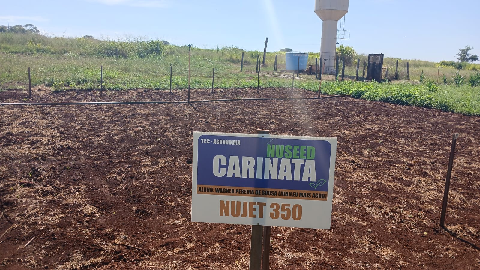 Placa identificadora Nuseed Carinata Nujet 350 - TCC Agronomia